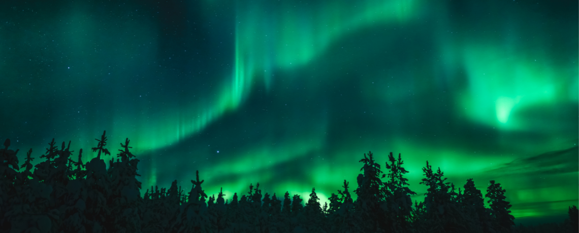 Header (free image from Canva)